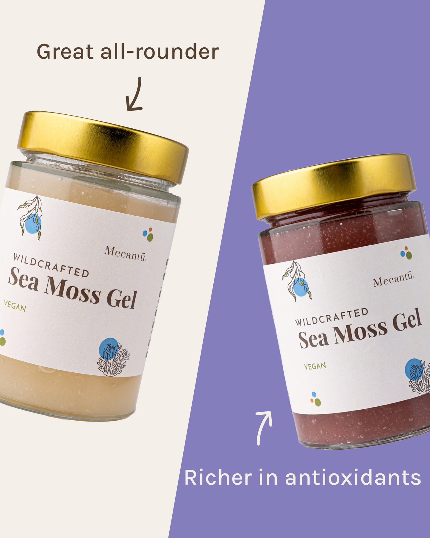 Sample Sea Moss Gel Bundle (Golden + Purple)