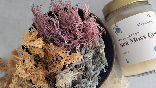 Embracing the Diversity of Sea Moss Colours