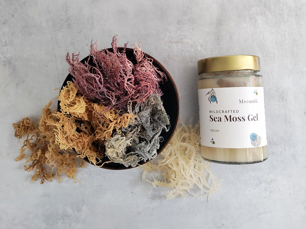 Why Sea Moss Is A Wellness Essential