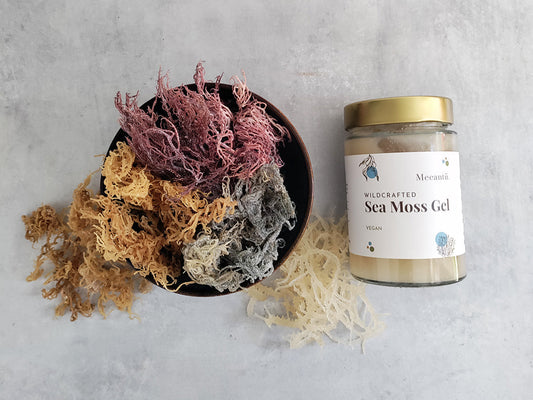 Why Sea Moss Is A Wellness Essential