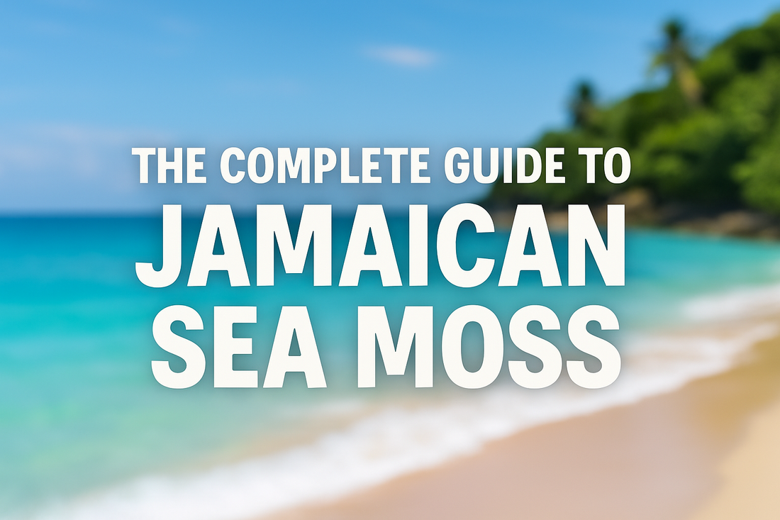 The Complete Guide to Jamaican Sea Moss
