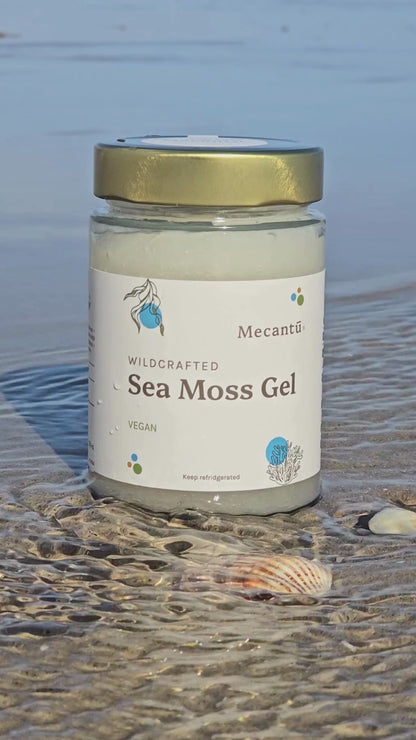 Sample Sea Moss Gel Bundle (Golden + Purple)